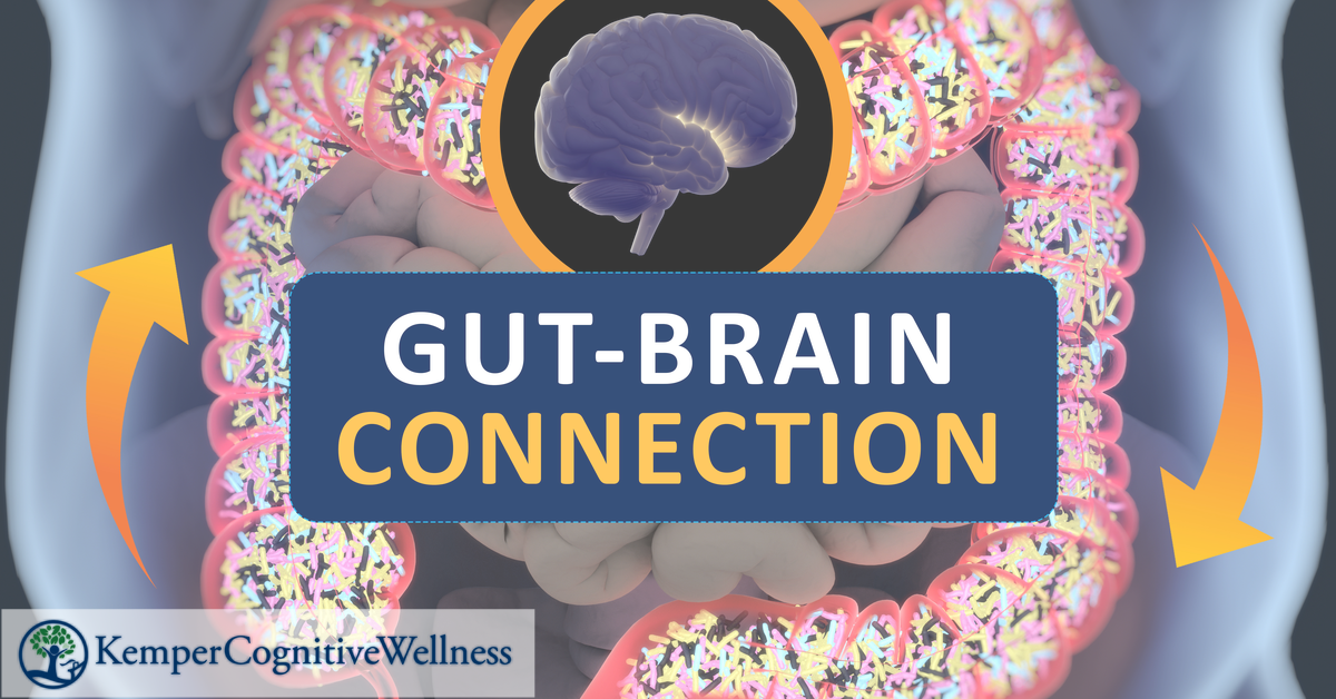 Gut Brain Connection