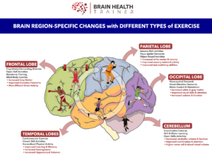 Brain Health Trainer Image