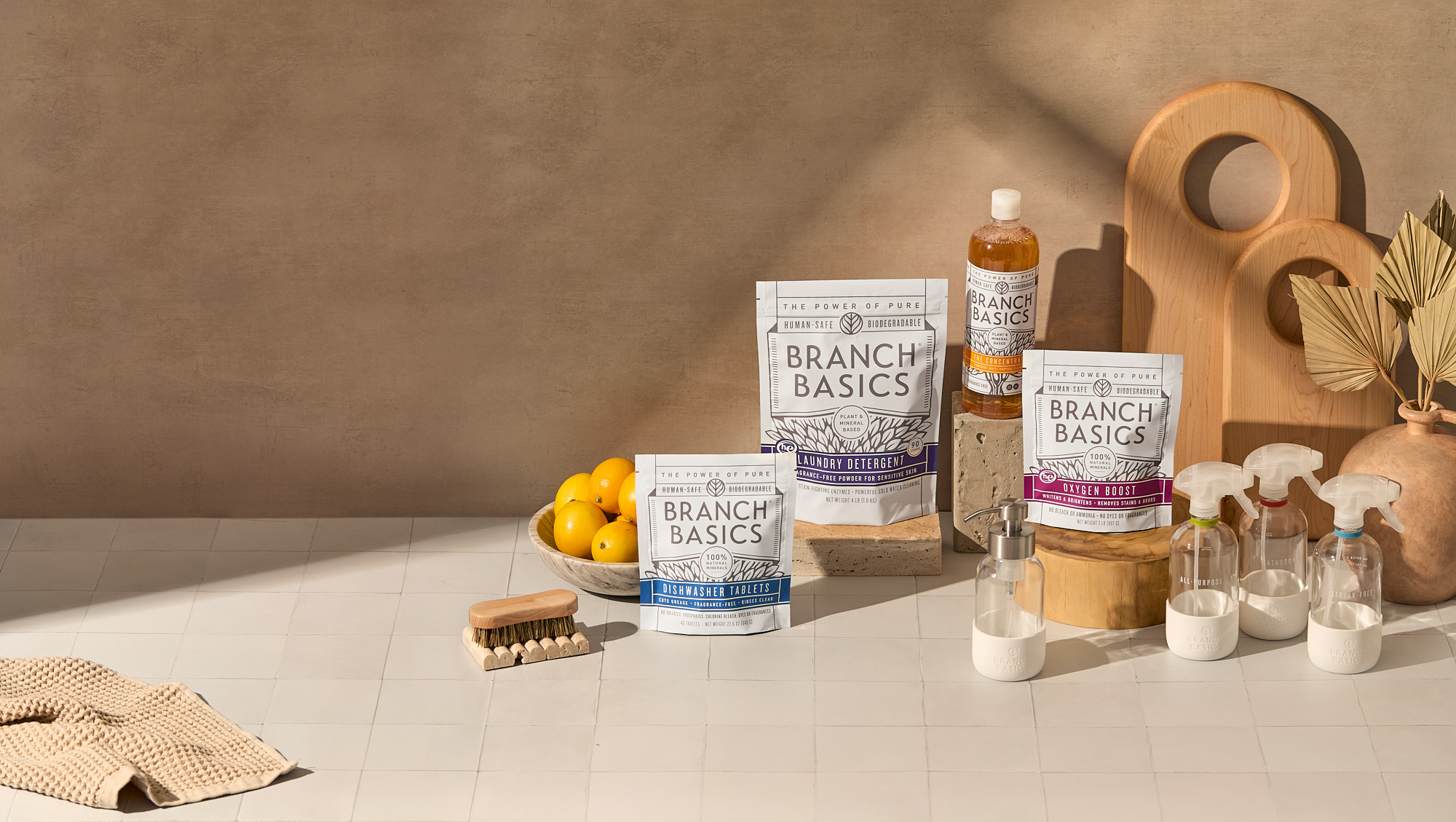 BranchBasics_December_20240105